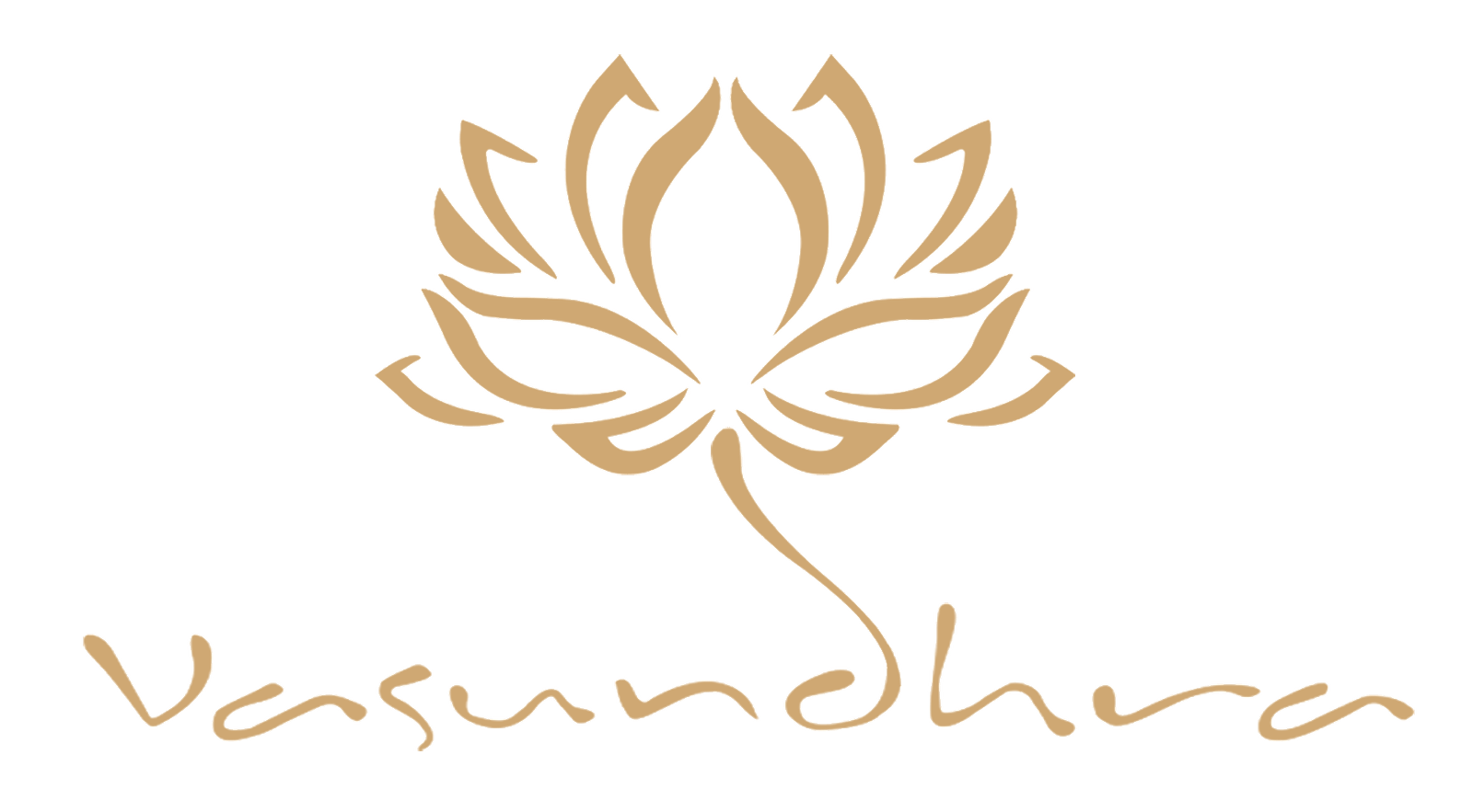 Vasundhra Studio